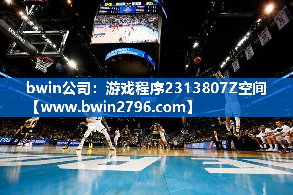 bwin公司：游戏程序2313807Z空间