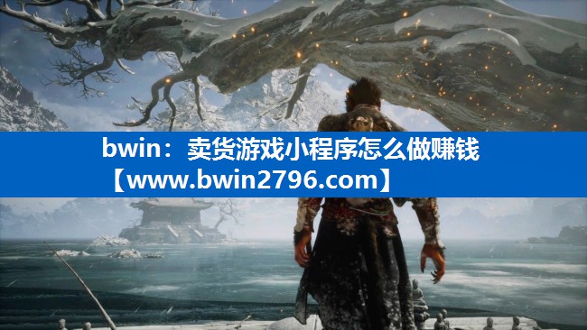 bwin：卖货游戏小程序怎么做赚