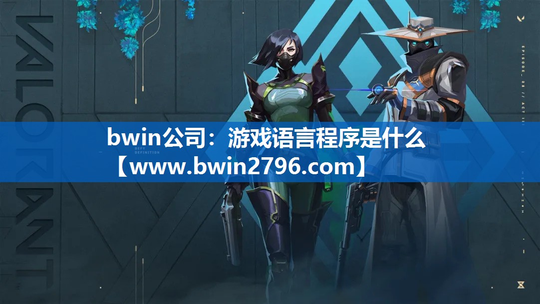 游戏语言程序是什么