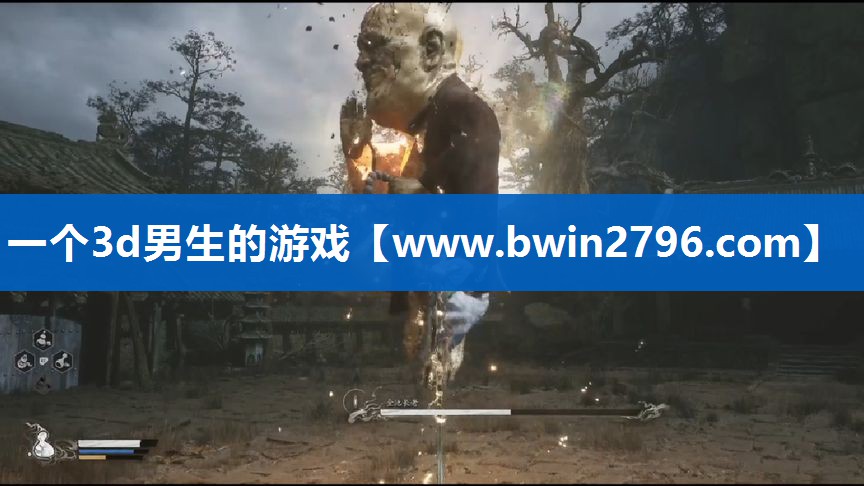 一个3d男生的游戏