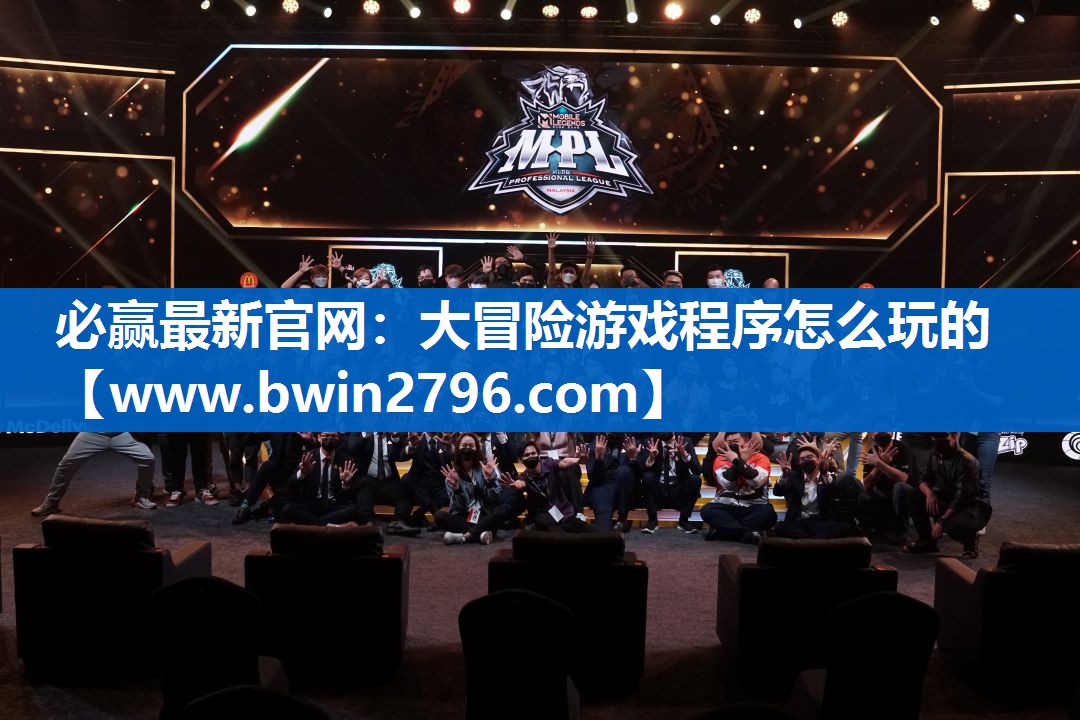 大冒险游戏程序怎么玩的