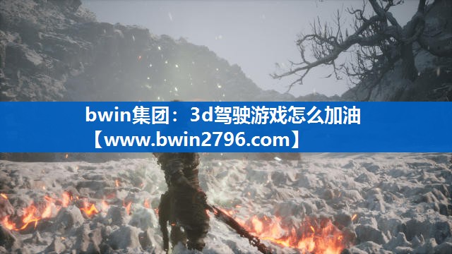 3d驾驶游戏怎么加油