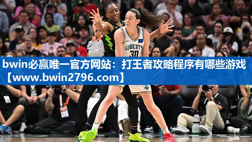 打王者攻略程序有哪些游戏